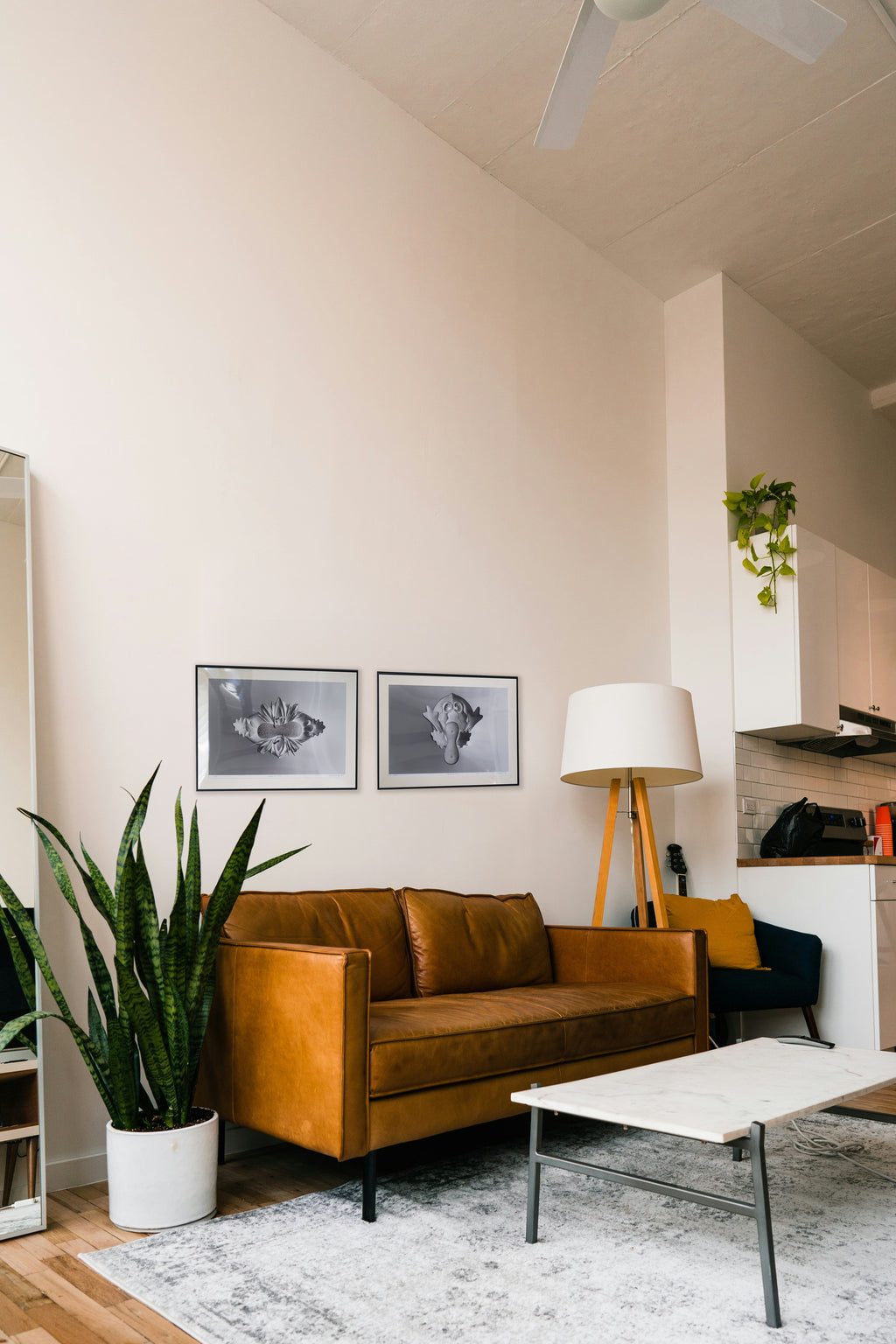 Woman as Vessel No. 05 (Framed Print)